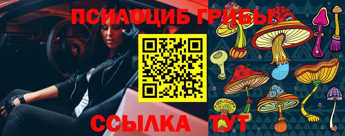 Псилоцибиновые грибы Cubensis Асино