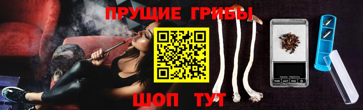 Псилоцибиновые грибы Psilocybe  Вход с VPN  Асино 